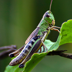 Fotos von Jürgen Schmidt