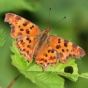 Fotos von Jürgen Schmidt