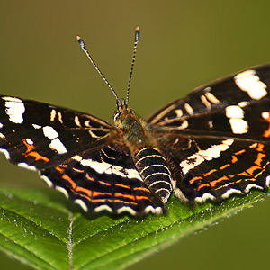 Fotos von Jürgen Schmidt