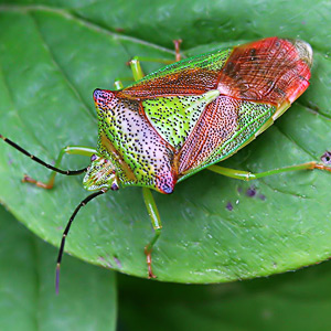 Fotos von Jürgen Schmidt