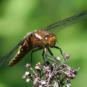 Fotos von Jürgen Schmidt