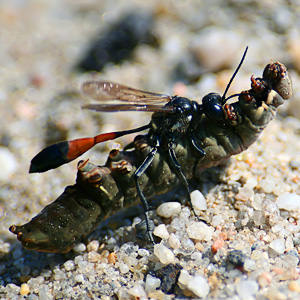 Fotos von Jürgen Schmidt