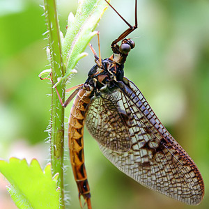 Fotos von Jürgen Schmidt