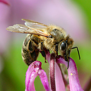 Fotos von Jürgen Schmidt