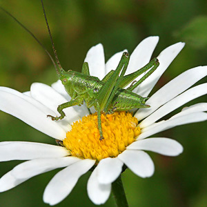 Fotos von Jürgen Schmidt