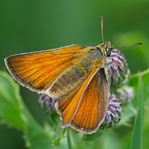 Fotos von Jürgen Schmidt