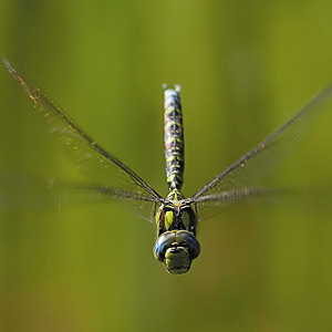 Fotos von Jürgen Schmidt
