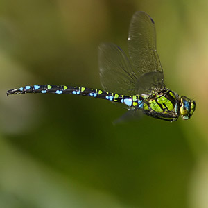 Fotos von Jürgen Schmidt