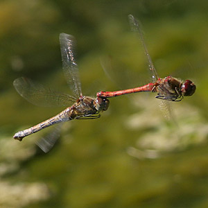 Fotos von Jürgen Schmidt