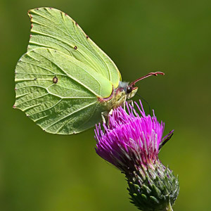 Fotos von Jürgen Schmidt