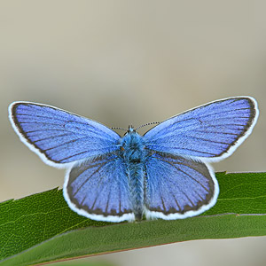 Fotos von Jürgen Schmidt