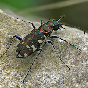 Fotos von Jürgen Schmidt