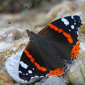 Fotos von Jürgen Schmidt