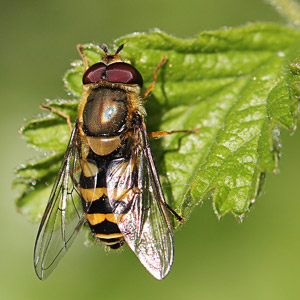 Fotos von Jürgen Schmidt