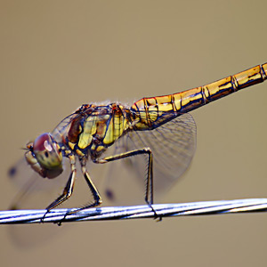 Fotos von Jürgen Schmidt