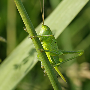 Fotos von Jürgen Schmidt