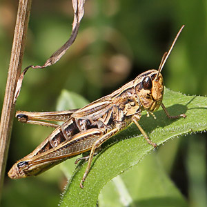 Fotos von Jürgen Schmidt