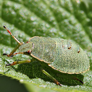 Fotos von Jürgen Schmidt