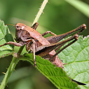 Fotos von Jürgen Schmidt