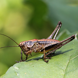 Fotos von Jürgen Schmidt