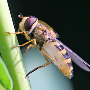 Fotos von Jürgen Schmidt