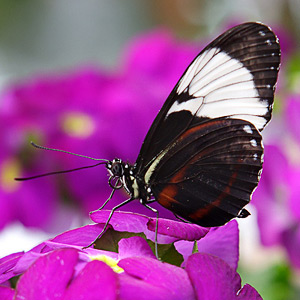 Fotos von Jürgen Schmidt