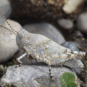 Fotos von Jürgen Schmidt