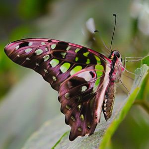 Fotos von Jürgen Schmidt