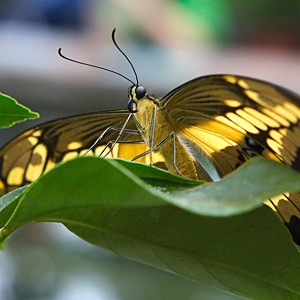 Fotos von Jürgen Schmidt