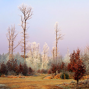 Fotos von Jürgen Schmidt