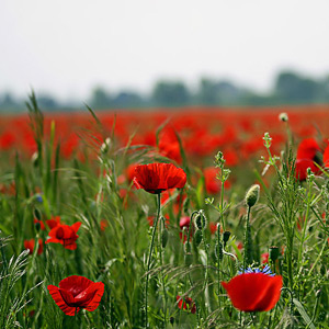 Fotos von Jürgen Schmidt
