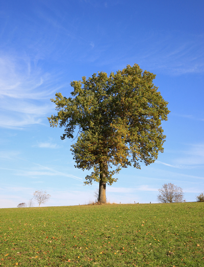 Fotos von Jürgen Schmidt