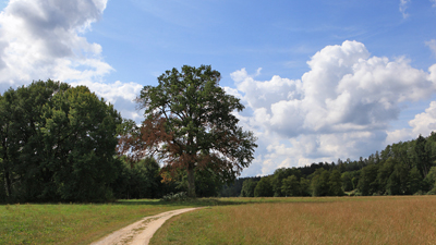 Fotos von Jürgen Schmidt