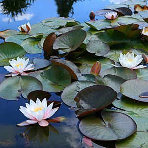 Fotos von Jürgen Schmidt