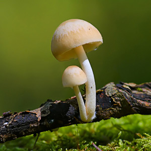 Fotos von Jürgen Schmidt