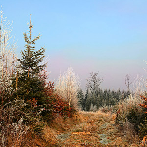 Fotos von Jürgen Schmidt