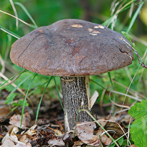 Fotos von Jürgen Schmidt