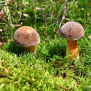 Fotos von Jürgen Schmidt