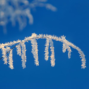 Fotos von Jürgen Schmidt