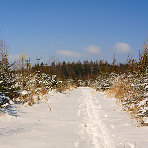 Fotos von Jürgen Schmidt