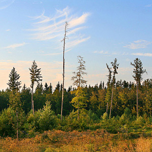 Fotos von Jürgen Schmidt