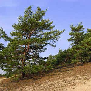 Fotos von Jürgen Schmidt