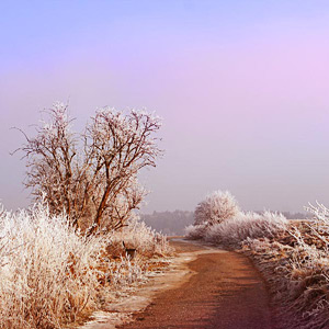 Fotos von Jürgen Schmidt