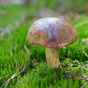 Fotos von Jürgen Schmidt