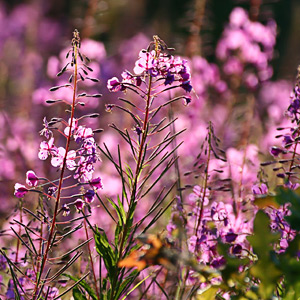 Fotos von Jürgen Schmidt
