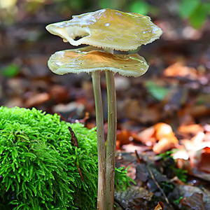 Fotos von Jürgen Schmidt