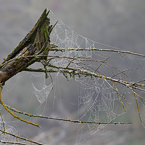 Fotos von Jürgen Schmidt
