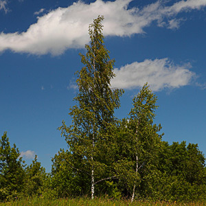 Fotos von Jürgen Schmidt
