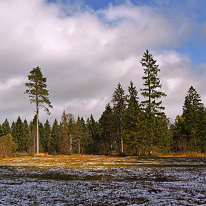 Fotos von Jürgen Schmidt