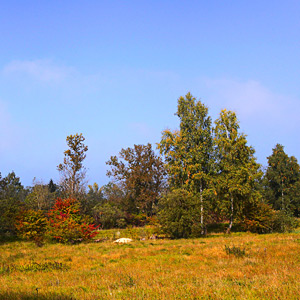 Fotos von Jürgen Schmidt